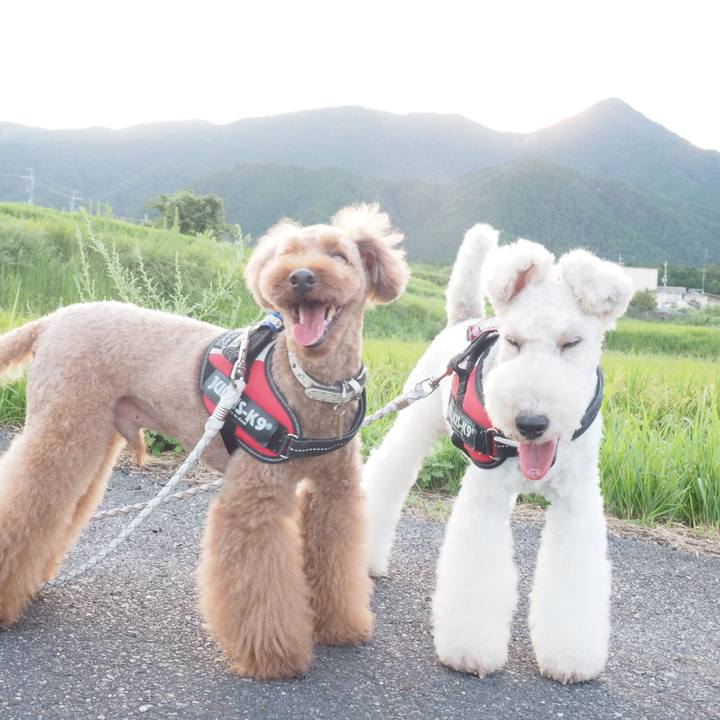 0d0144a1 00a5 4d13 b61b bd4d5e732760 1568097159907