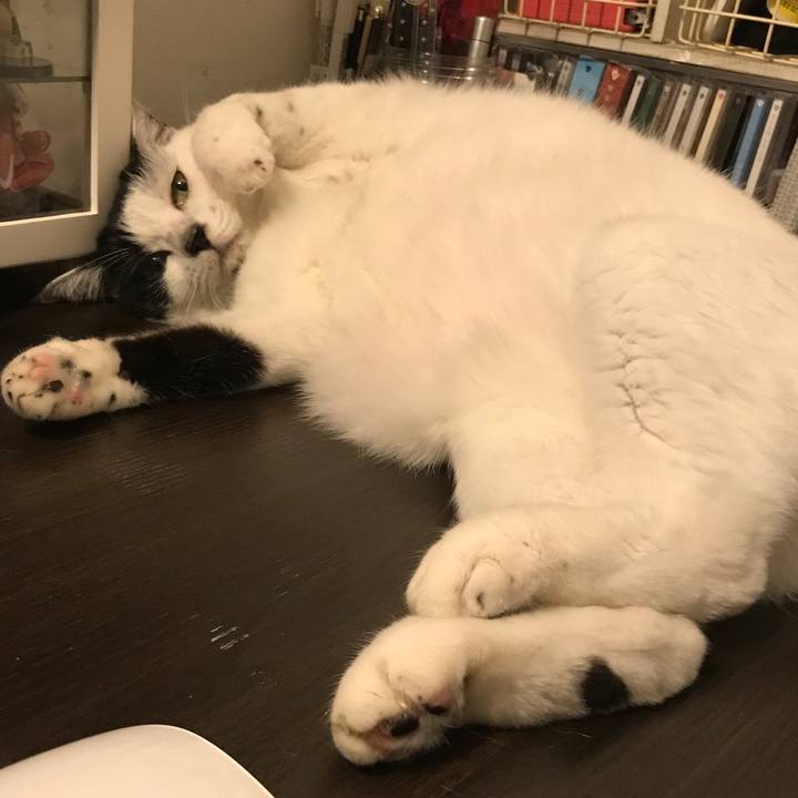 0d015a77 64e0 4da1 9e07 e43239a2fecf 1574992379742