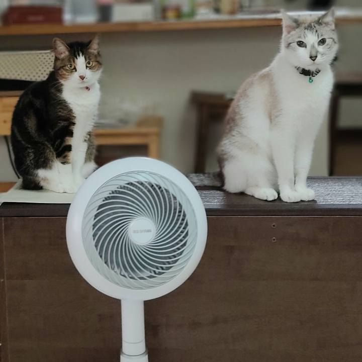 0d01a655 2e74 48ec b118 fb2ca4529043 1625646006537