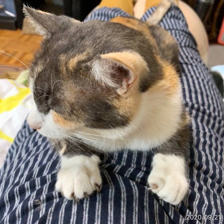 0d01c448 9f35 49a3 b47a 80927f0526c3 1600656350569