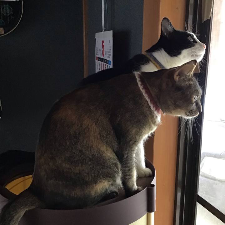 0d01de7f 6fbe 4b1f 9f33 285c65f3aee6 1652251959788