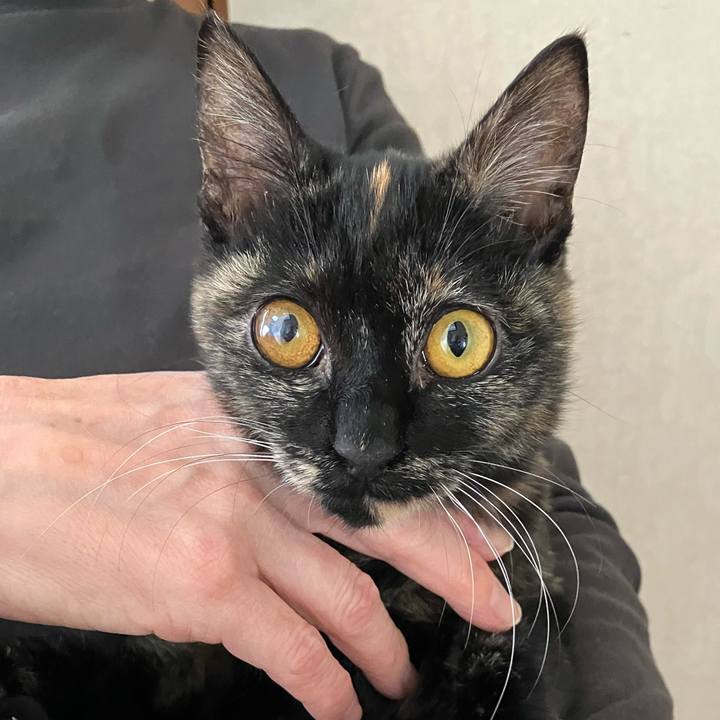 0d0222fa 454c 4633 9601 246bcbf2894f 1704520412833