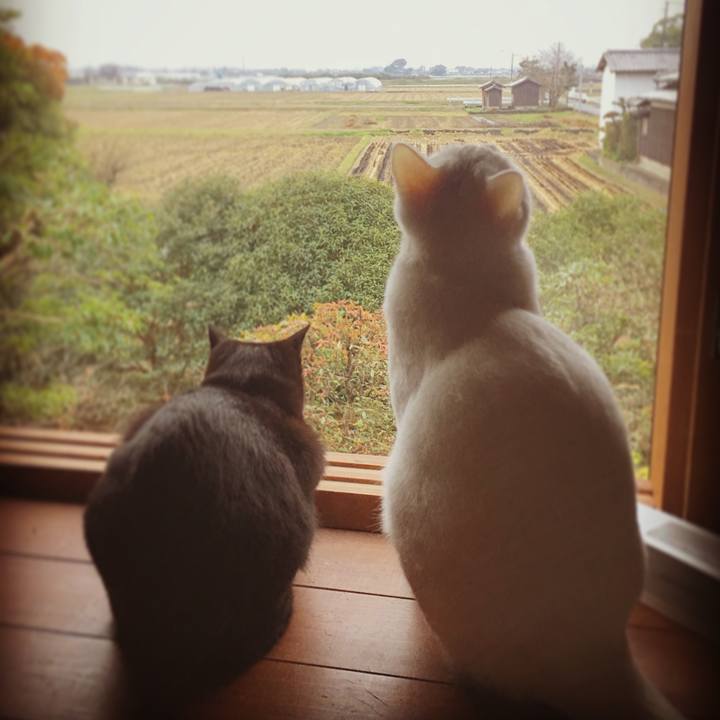 0d0227ef 4172 4231 9cac d49c12624474 1510960111280