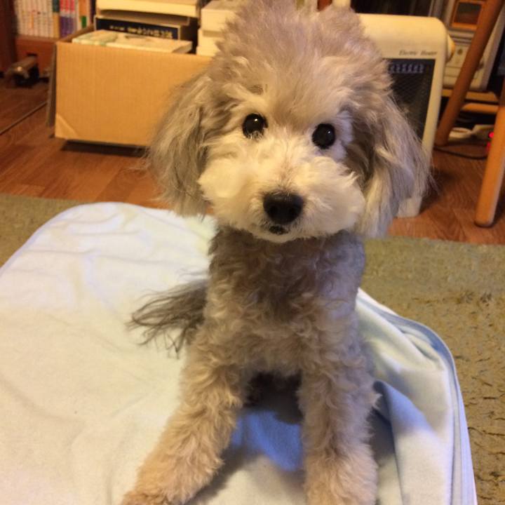 0d022cd3 a2cf 42ec 9069 16cb0b0c40aa 1511394930951