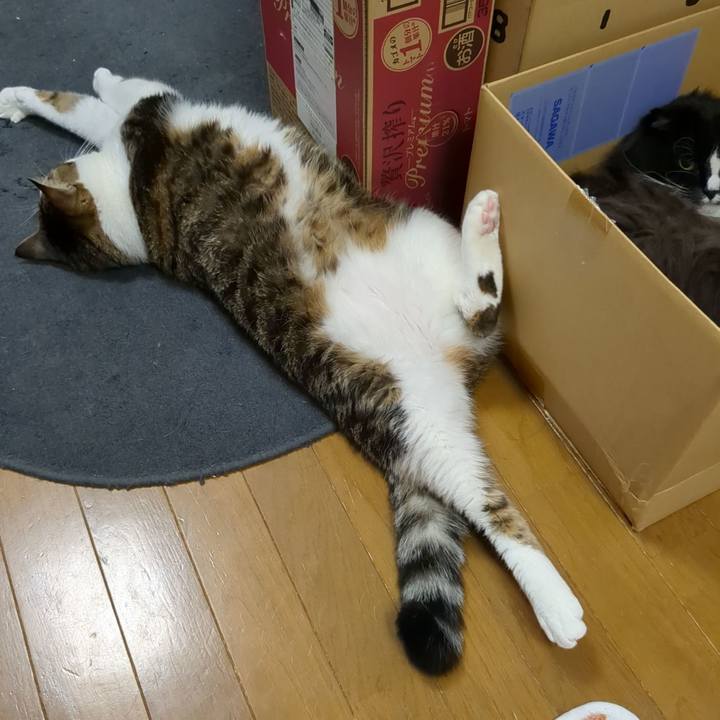 0d0230fa 763b 42bc 8844 ae6896c6ecfb 1700569404954