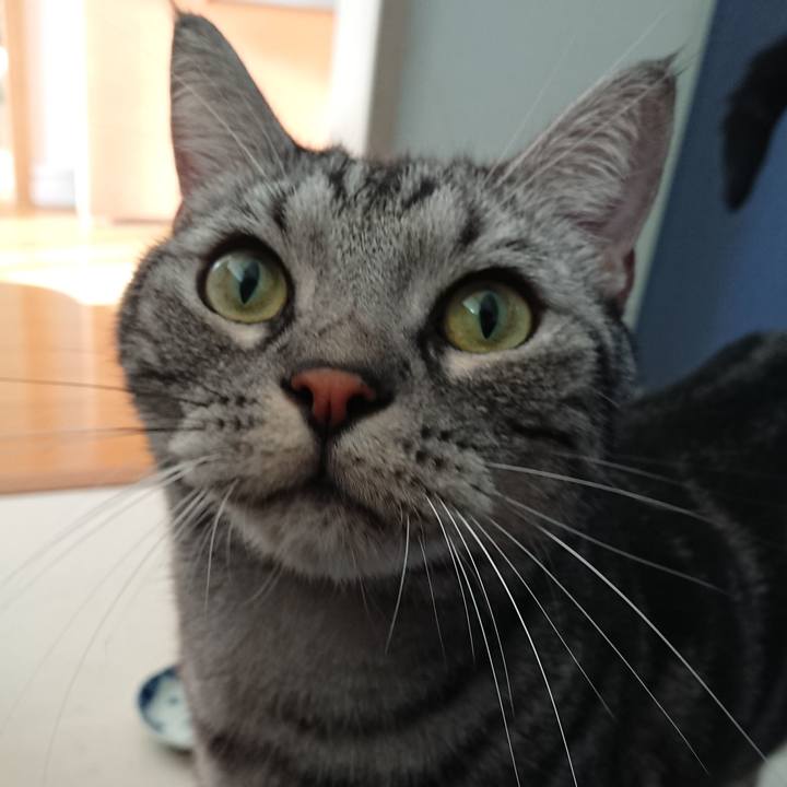 0d024589 5a91 463d 9240 9a42d5ec995b 1546327522643