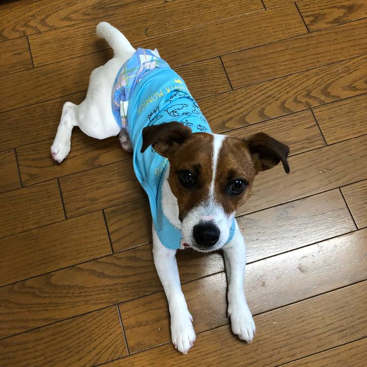 0d0260b8 6ad8 4578 970c e17cb5ca63eb 1528672063111