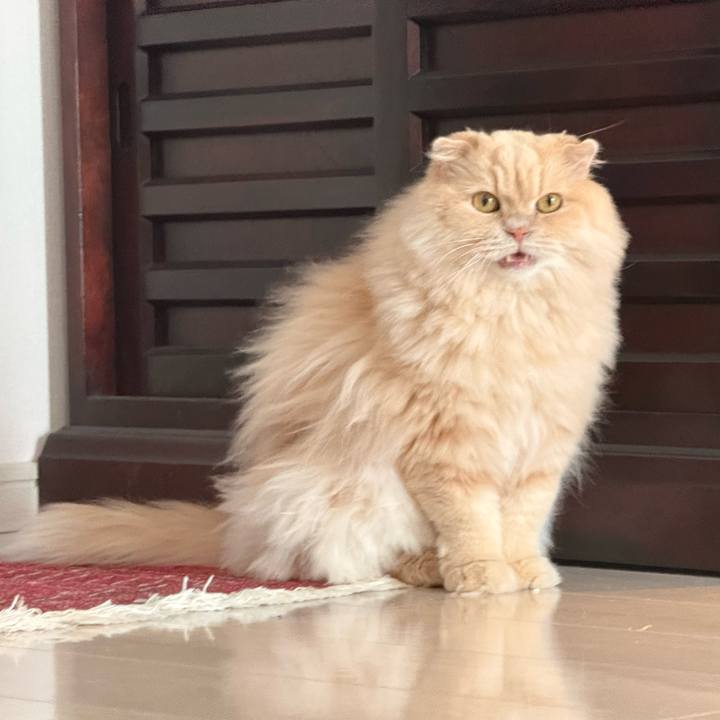 0d027da5 f7f5 4344 aeec f4a3b1c64946 1774510907244