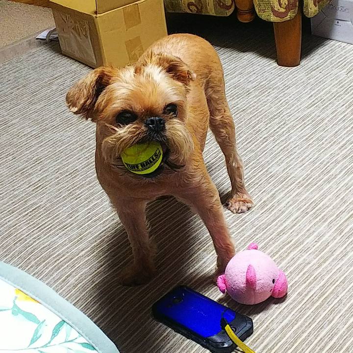 0d02ad86 1653 4283 bfa4 1a8380005847 1595206144899