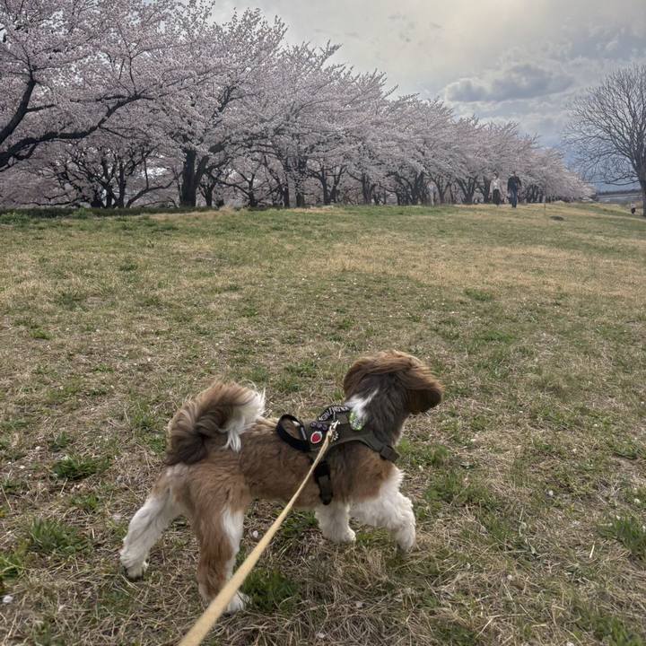 0d034ea6 78ce 4cac aae6 b0e478d40b8c 1775483089598