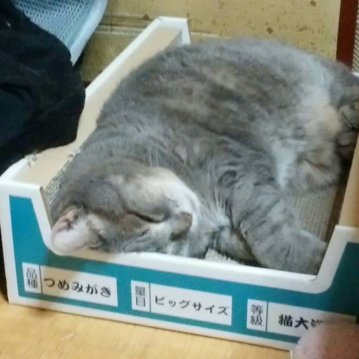 0d03872b 7ee0 42a3 b178 1d7cde75e592 1595509513880