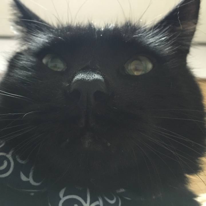 0d03abd4 f37e 44d6 a49c f68130773e03 1546001627173