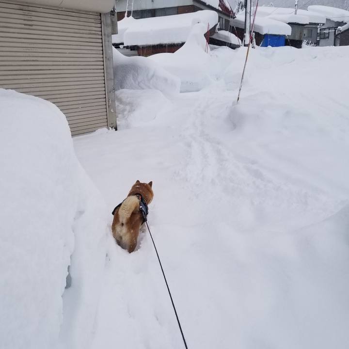 0d03cd18 14e0 41de 8eb9 6b745852a6ac 1642137119698