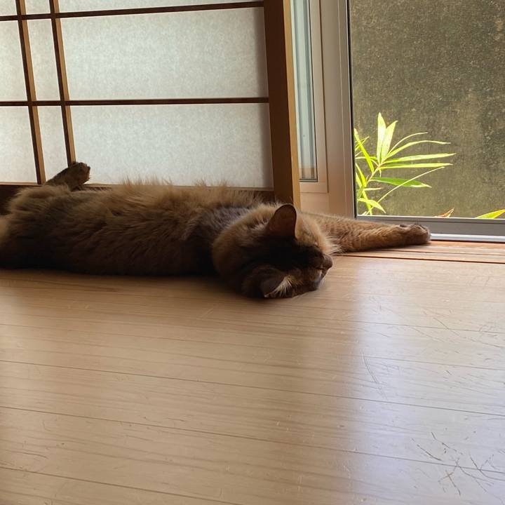 0d042a26 49ed 4fa8 82ec cff2c7062eb6 1658636287307