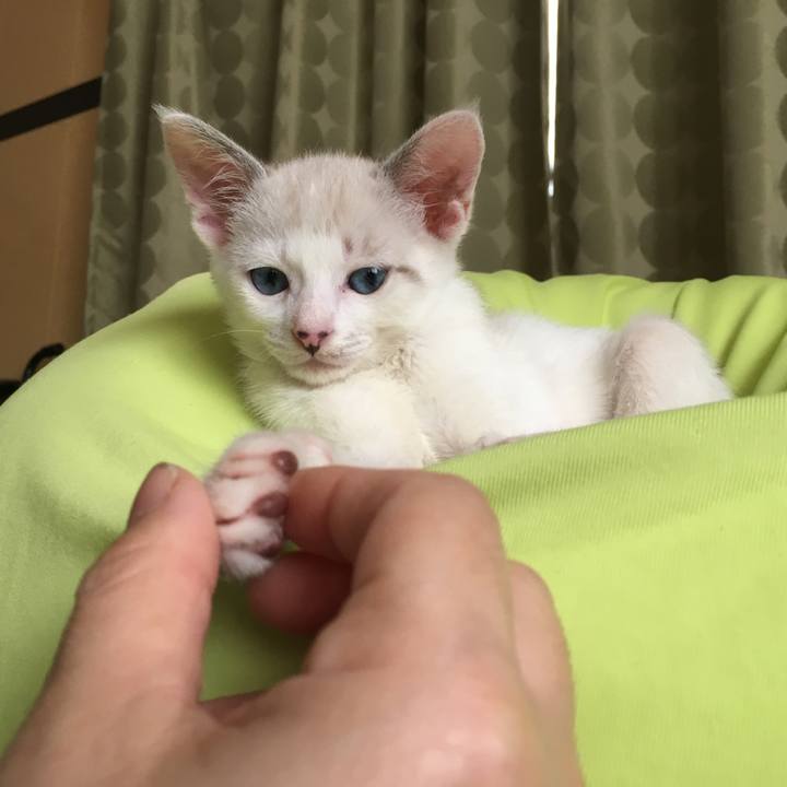 0d04574e f63d 4fb0 8b7d 3514daea9f3e 1531804269397