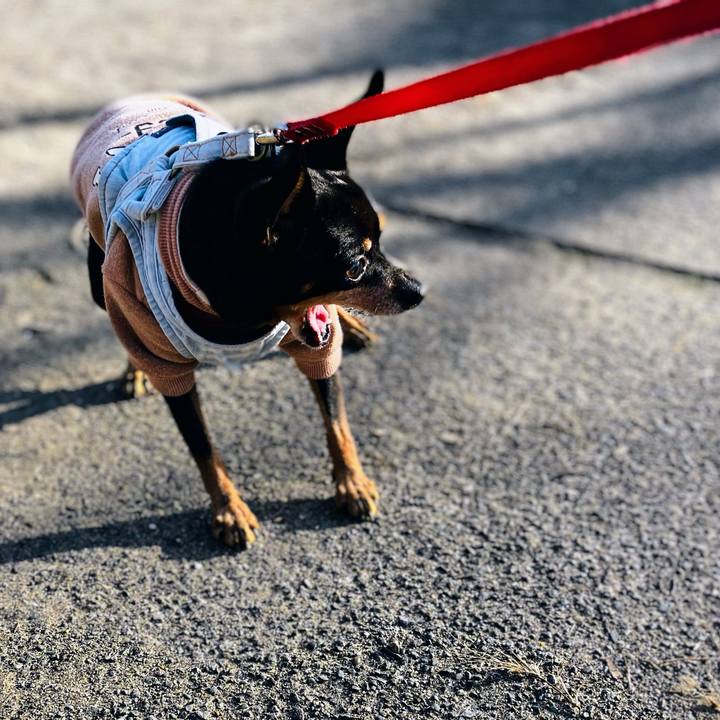 0d046296 e733 4f76 bd79 22219b456b78 1764983369195