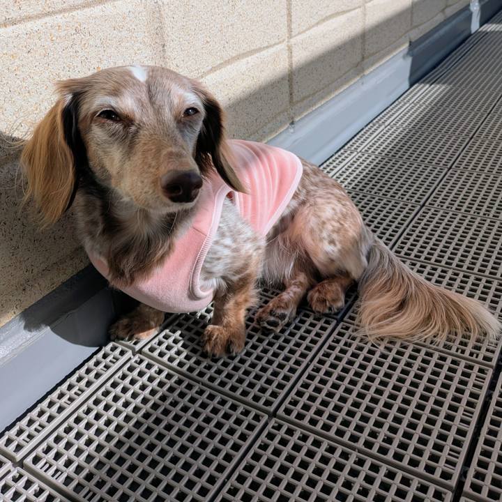 0d047ab3 2cbe 41d8 8f14 165af5505ff8 1764304140536