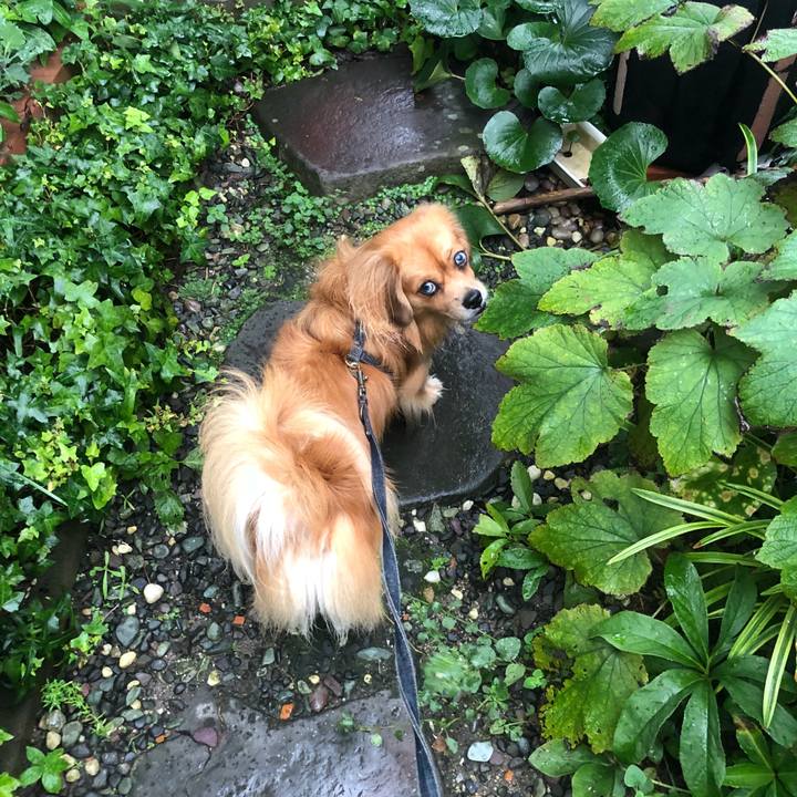 0d04821b 7cf5 4fc5 b3e6 860a8ab32b9d 1537481022222