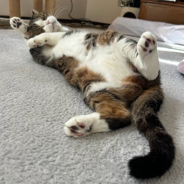 0d04d3a4 97d7 433c 9782 f038f67da75f 1768184971355