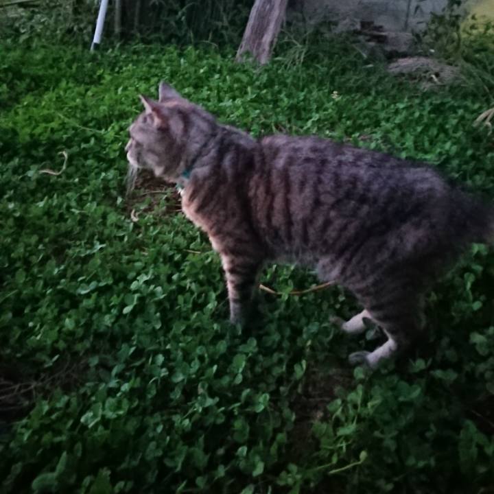 0d04d815 37b6 43fe ba58 bf46d323afc1 1568540016698