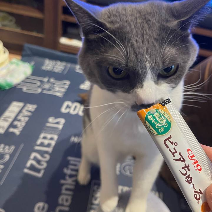 0d04dbfd 01c7 4f96 8857 f46b2d1c2667 1703576178096