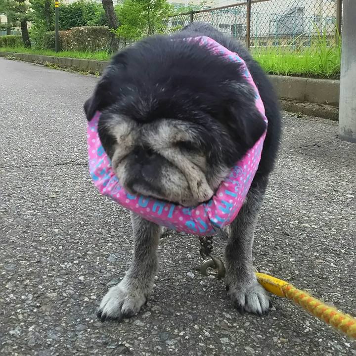 0d04dccf 22b0 4d2a 9886 4e496b6be532 1532330285436