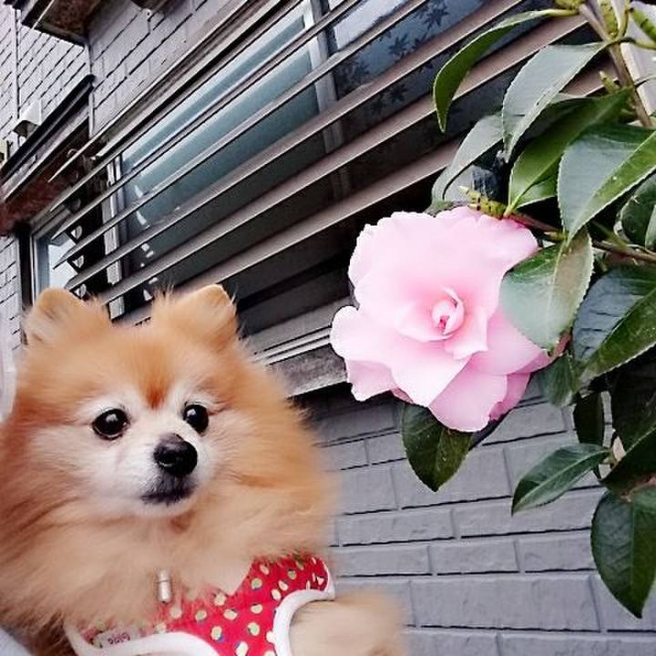 0d04fea1 6680 46d4 9bc7 9bdbfa85465d 1524996250132