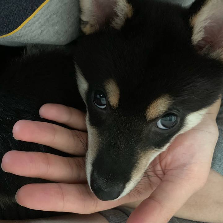 0d0501af a8d3 4d91 be7d bd4389e2d603 1555207838358