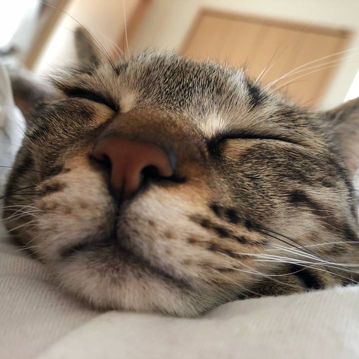 0d05031e cbb9 4d5a b5e3 fdce6609cb9b 1524272729296