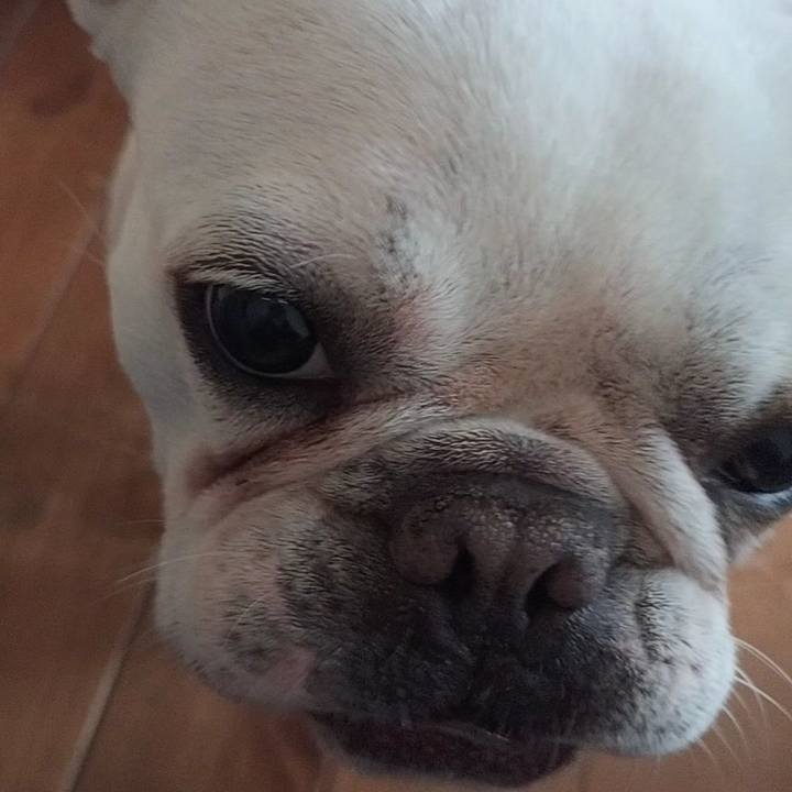 0d052513 645d 4a70 9758 c465de766538 1685142460775