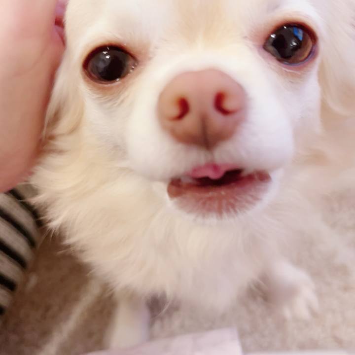 0d0574c1 91c6 4e48 9729 4c7196018a55 1699247488049