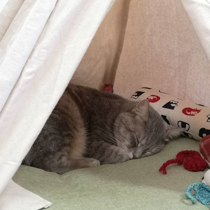 0d0578c1 340e 4f60 b756 d507100a0cdb 1568881210617