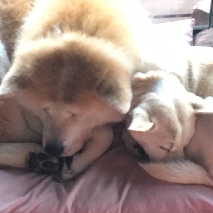 0d058655 7e28 4efc aa44 5f4f11697a11 1517998925849