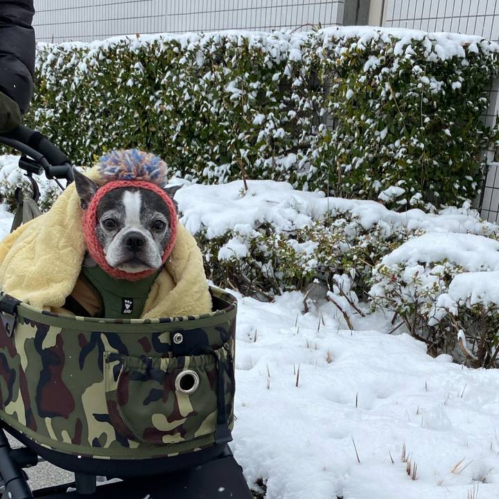 0d05c09d 2f54 495f 8928 f54b4f9ef5b6 1770539726816