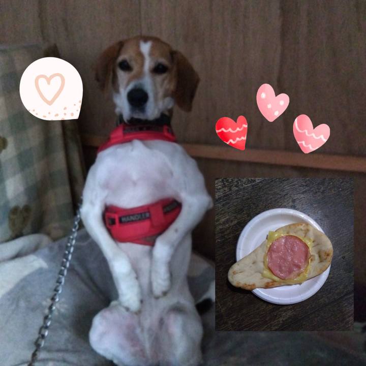 0d068ed3 4b4a 4b92 8d9c 7b5798226de8 1703763174440