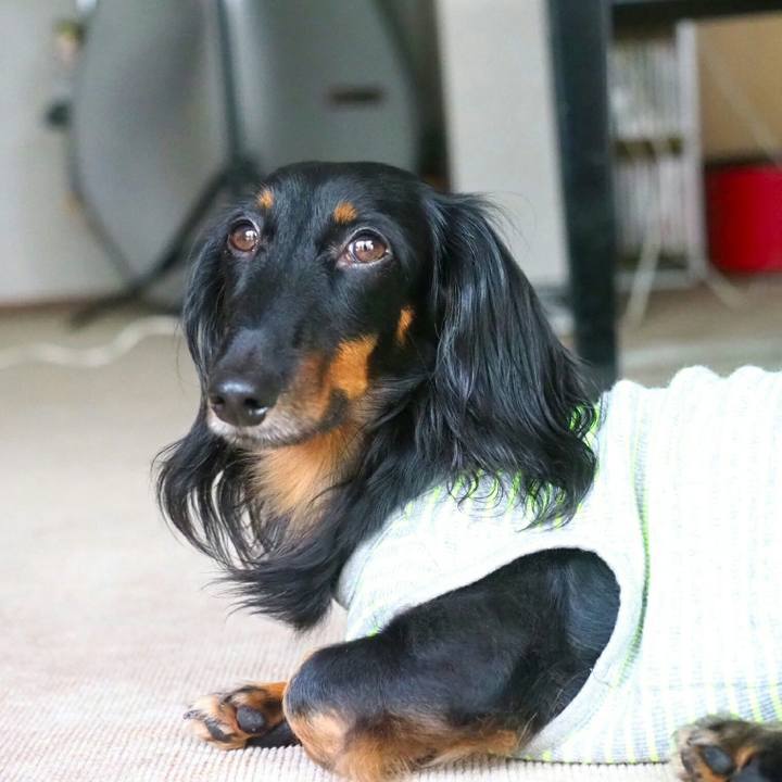 0d073a31 35fb 4bb8 a401 0a2cbeb5cb8d 1537597478937