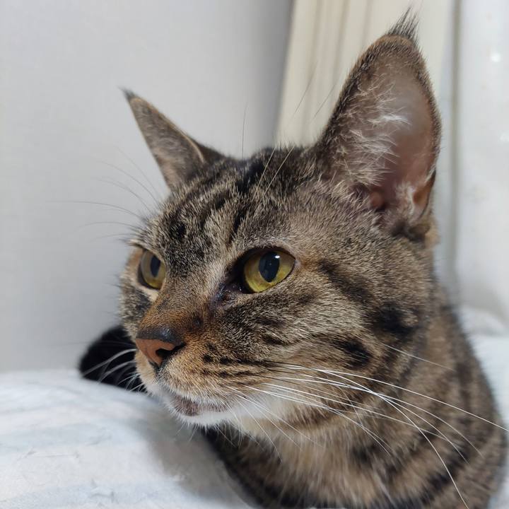 0d0748bb 998f 401b 8215 3a25cde9e03a 1694823832124