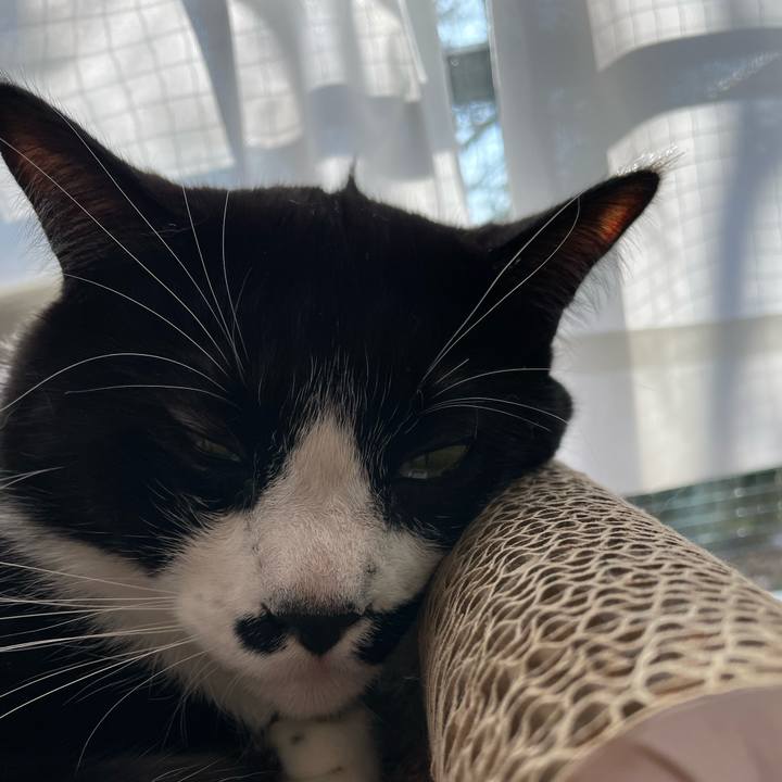 0d075953 f73c 4df8 be8c 55f87dd24a4b 1675901388321