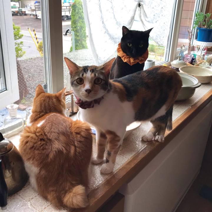 0d076c1a 2545 4b02 a708 25e80ee8c240 1627855738951