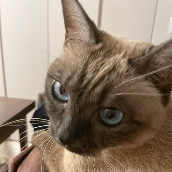 0d077524 74c9 4c3f 9e4f 3afc8b0119ce 1769700563372