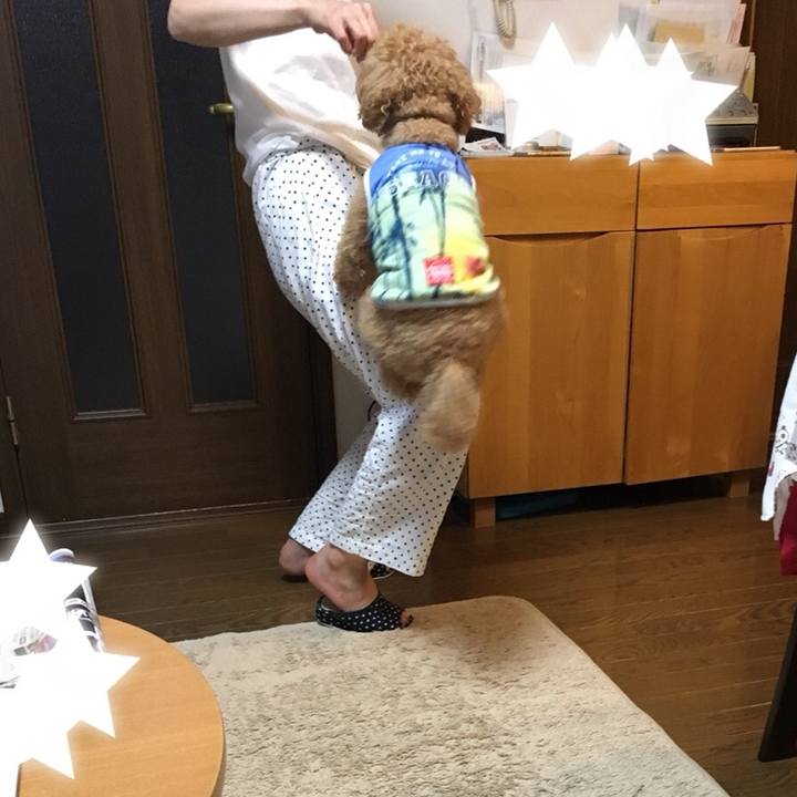 0d079162 9f73 400f 9dc0 346de62d1025 1532002659617