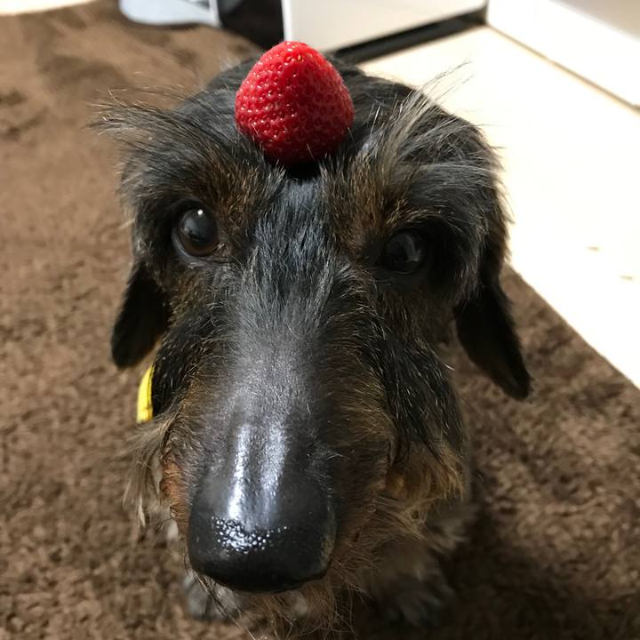 0d07926c 7a95 4150 9e08 5b052c91acfd 1548072160097