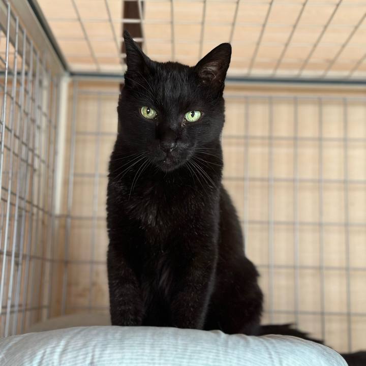 0d07af28 5c39 4bea 91d3 faaaed5895f2 1686275270193