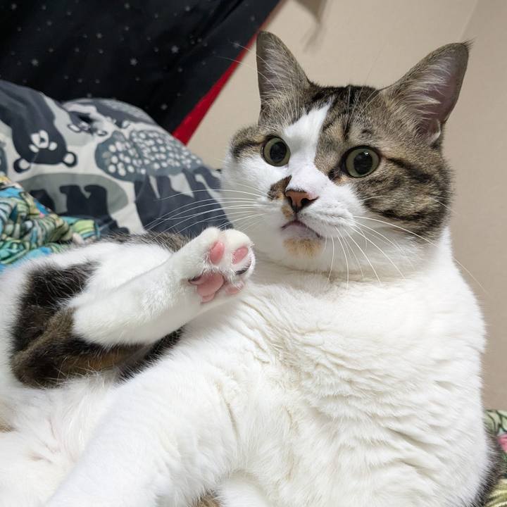 0d07fb50 a50f 4f73 bd89 78bf71d94f61 1760315750372