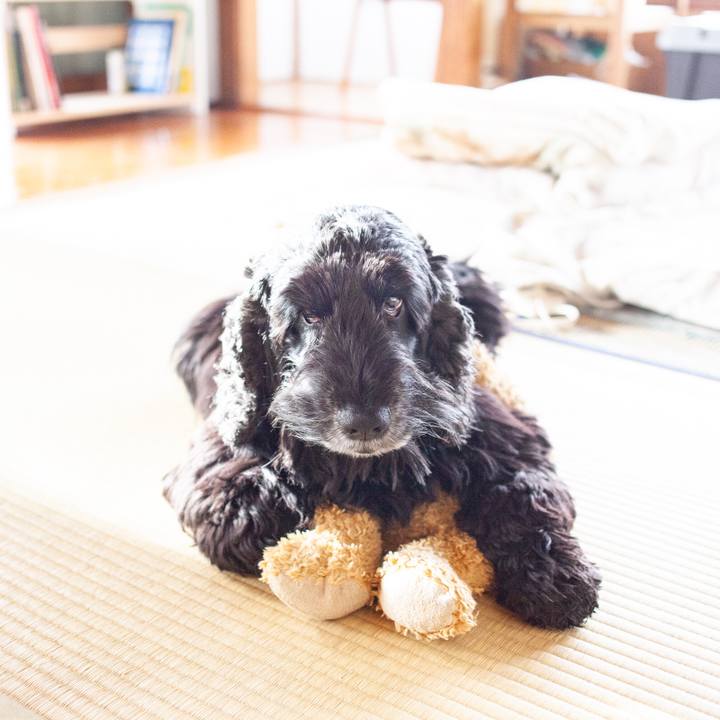 0d080d78 b45a 4c69 98db 272e71269376 1549816479005