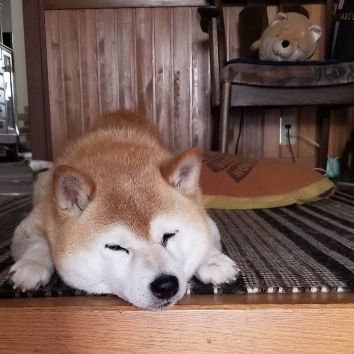 0d08134f f653 4d5d 8778 6e42192be3c7 1687832499514