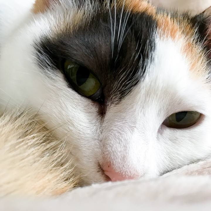 0d0824fe 3e7c 4fd4 b43b 698e7cf9e9bc 1526118340248