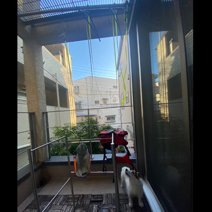 0d0867c1 c9e1 4dde 97e0 43d3df3f764a 1692347512003