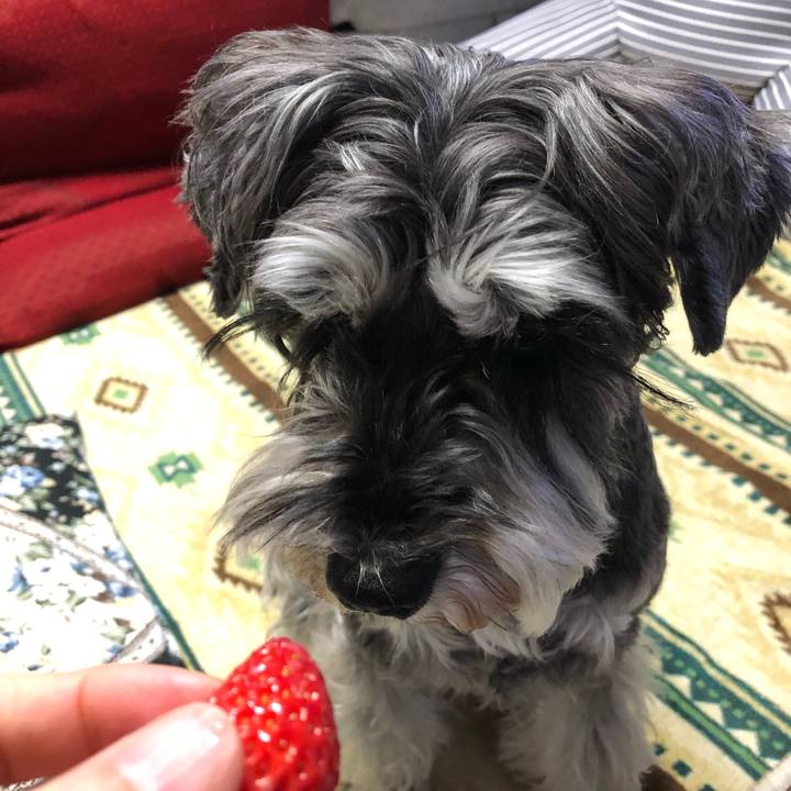 0d08685e 54ca 40f0 aab2 e1f86e9c1ed0 1650117892242