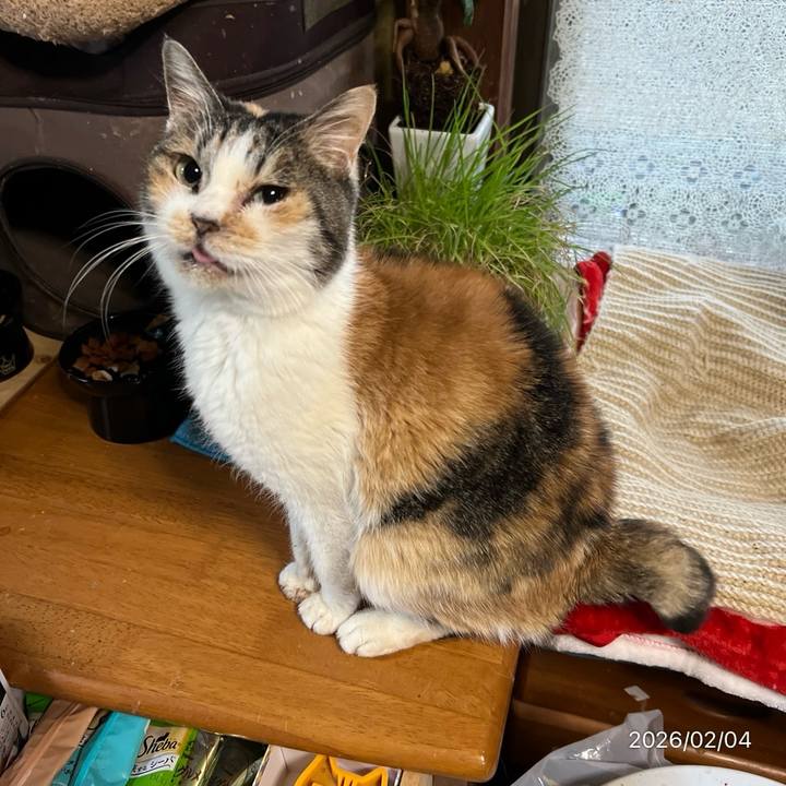 0d0892bf 397a 4ff5 99e6 472ee3379101 1770155795208